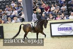 22BUCK_05053 proof