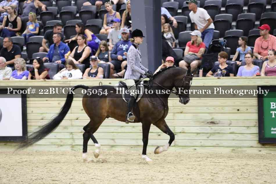 Proof 22BUCK_05054