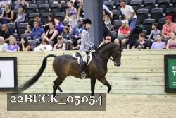 22BUCK_05054 proof