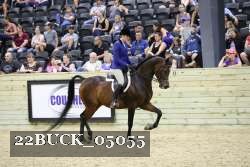 22BUCK_05055 proof