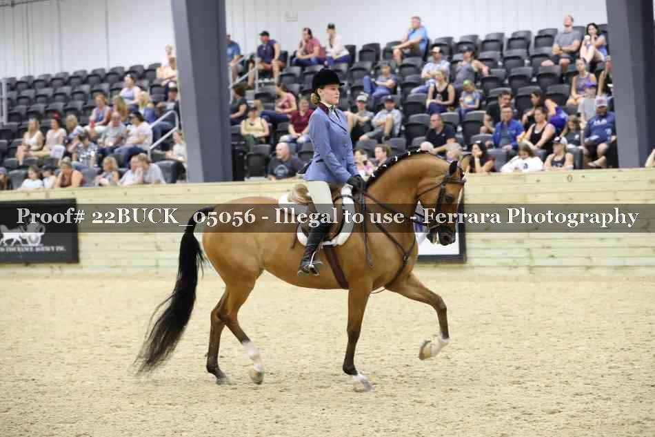 Proof 22BUCK_05056