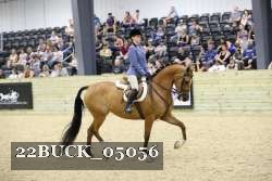 22BUCK_05056 proof