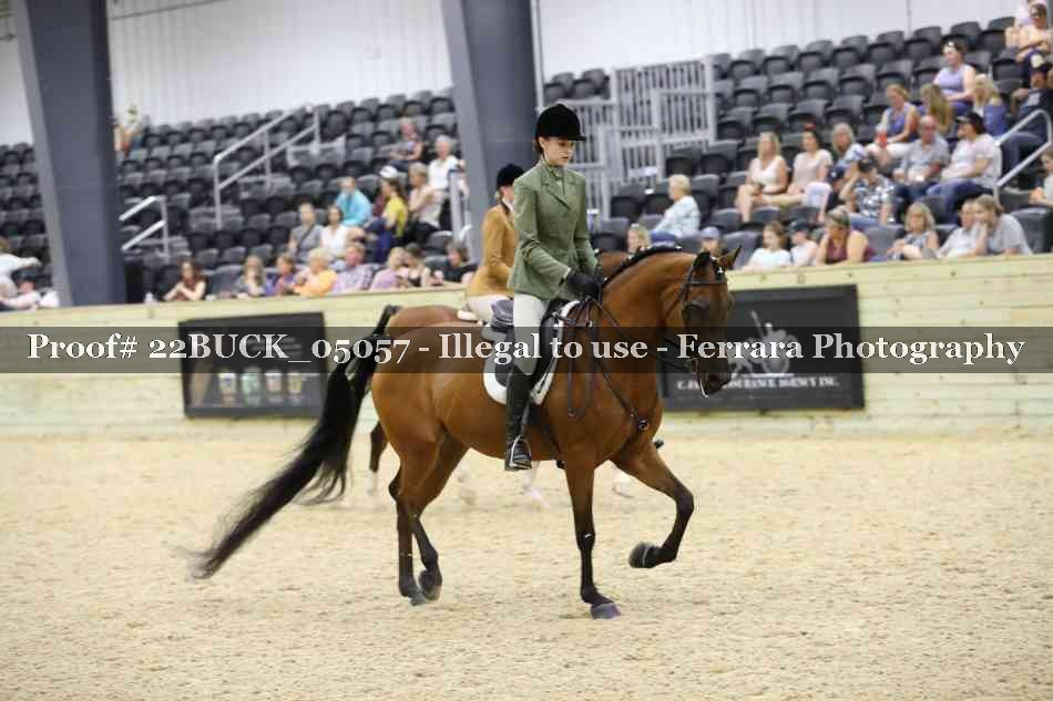Proof 22BUCK_05057