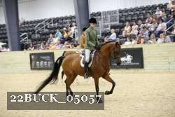 22BUCK_05057 proof
