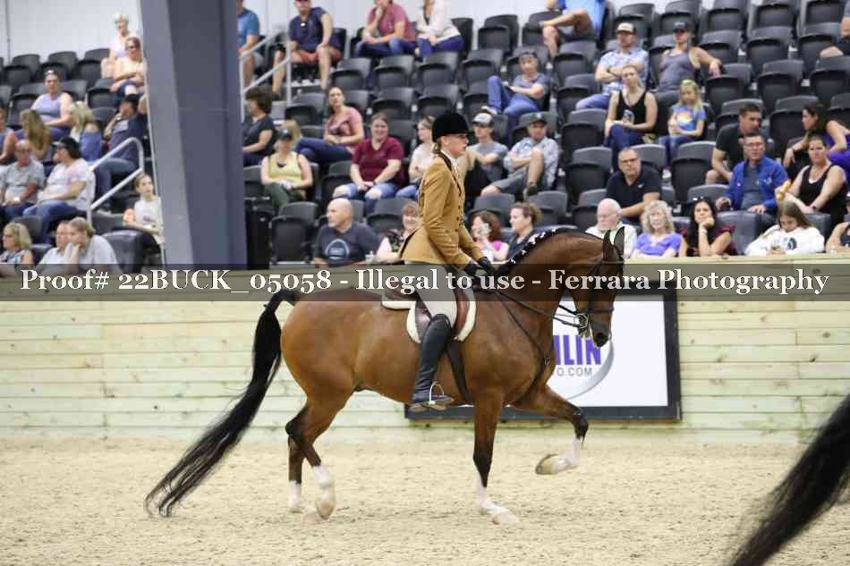 Proof 22BUCK_05058