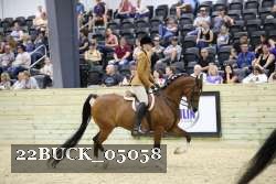 22BUCK_05058 proof