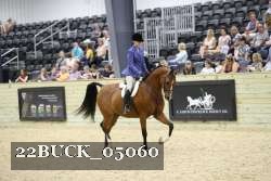 22BUCK_05060 proof