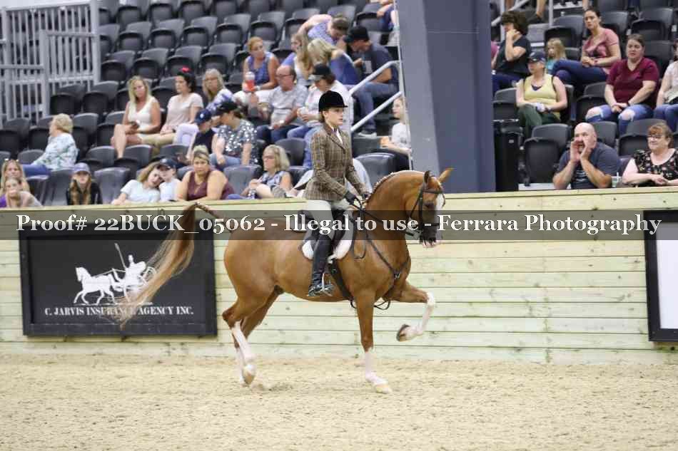 Proof 22BUCK_05062