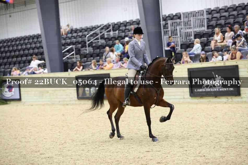Proof 22BUCK_05064