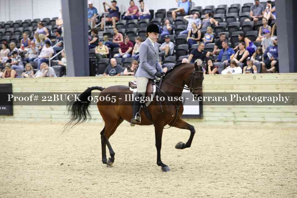 Proof 22BUCK_05065