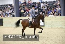 22BUCK_05065 proof