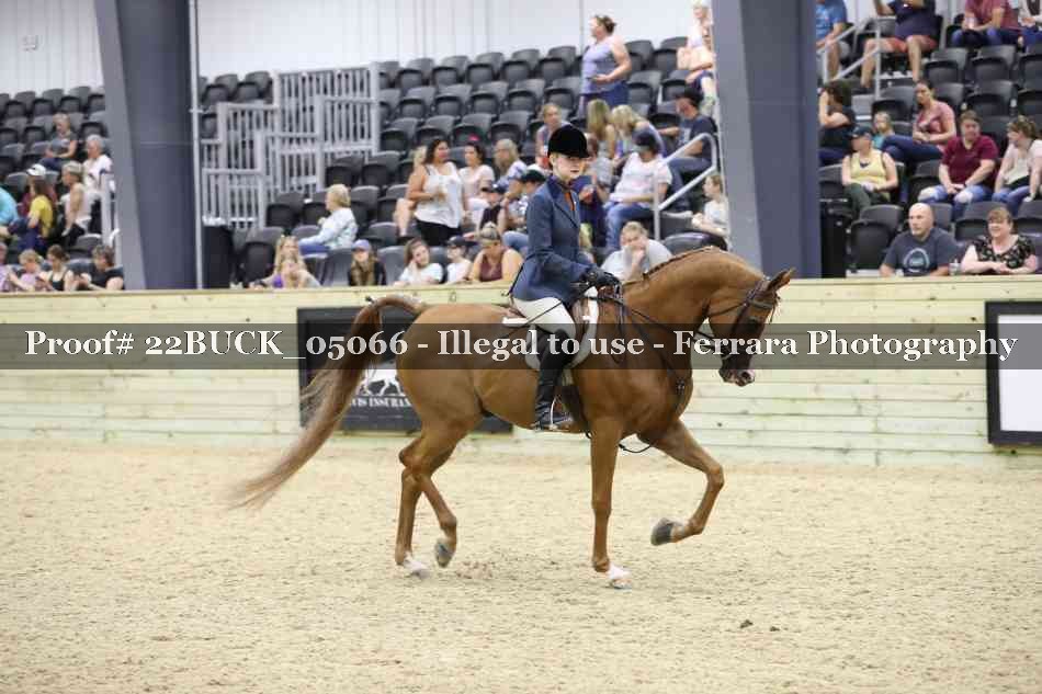 Proof 22BUCK_05066