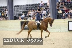 22BUCK_05066 proof