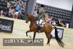 22BUCK_05067 proof
