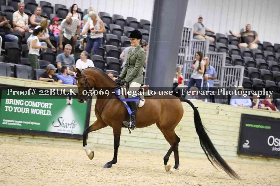 Proof 22BUCK_05069