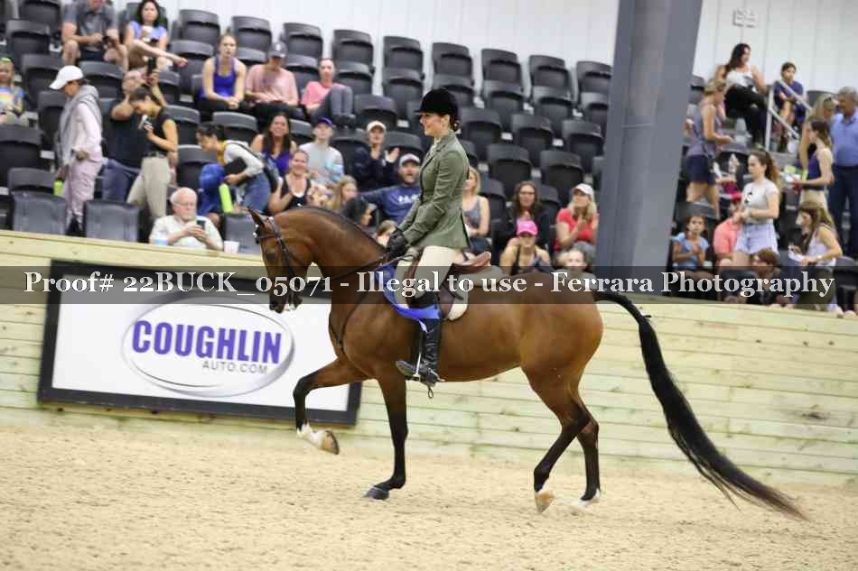 Proof 22BUCK_05071
