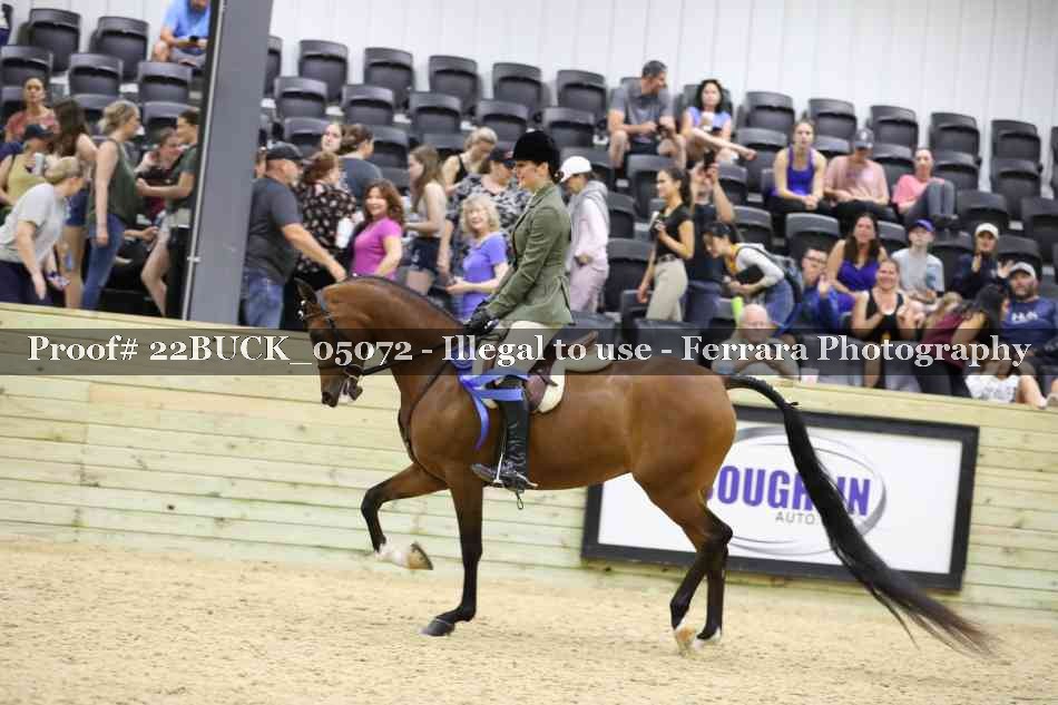 Proof 22BUCK_05072