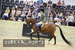22BUCK_05073 proof