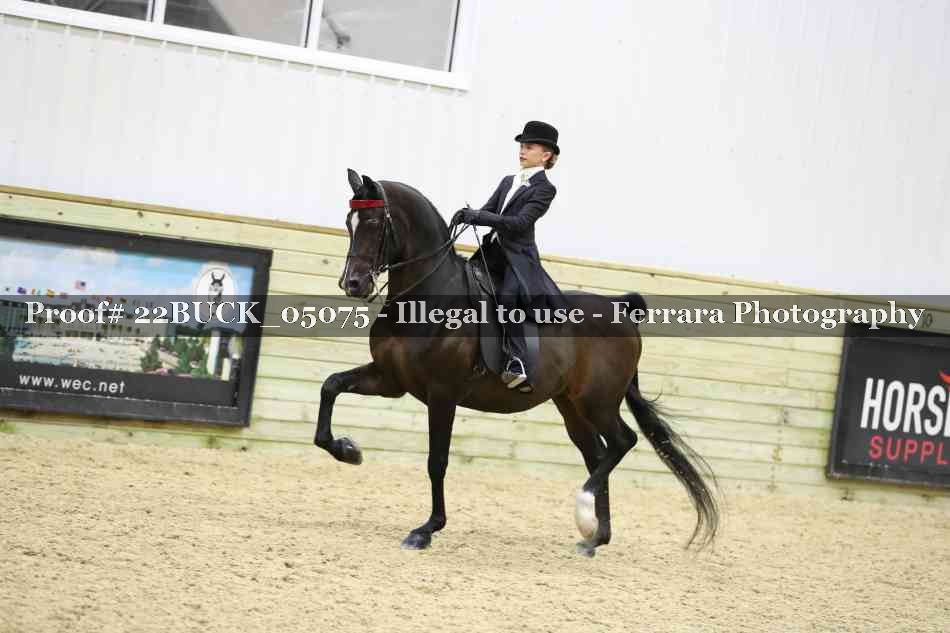 Proof 22BUCK_05075