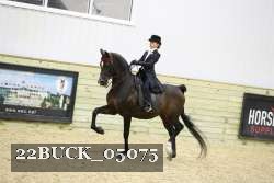 22BUCK_05075 proof