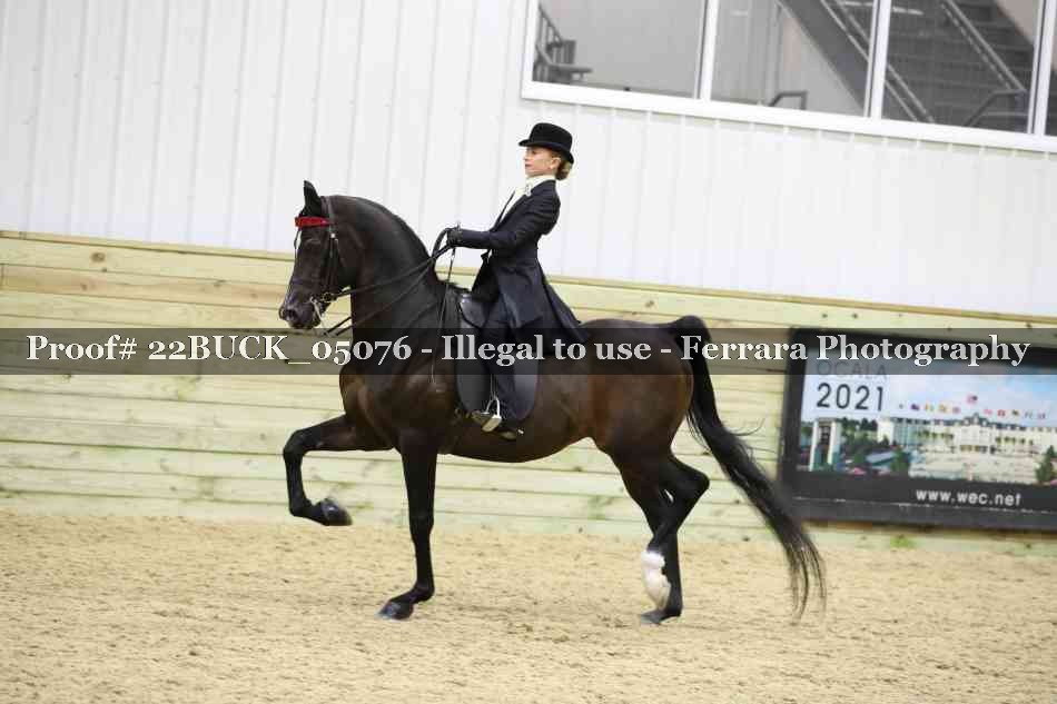 Proof 22BUCK_05076