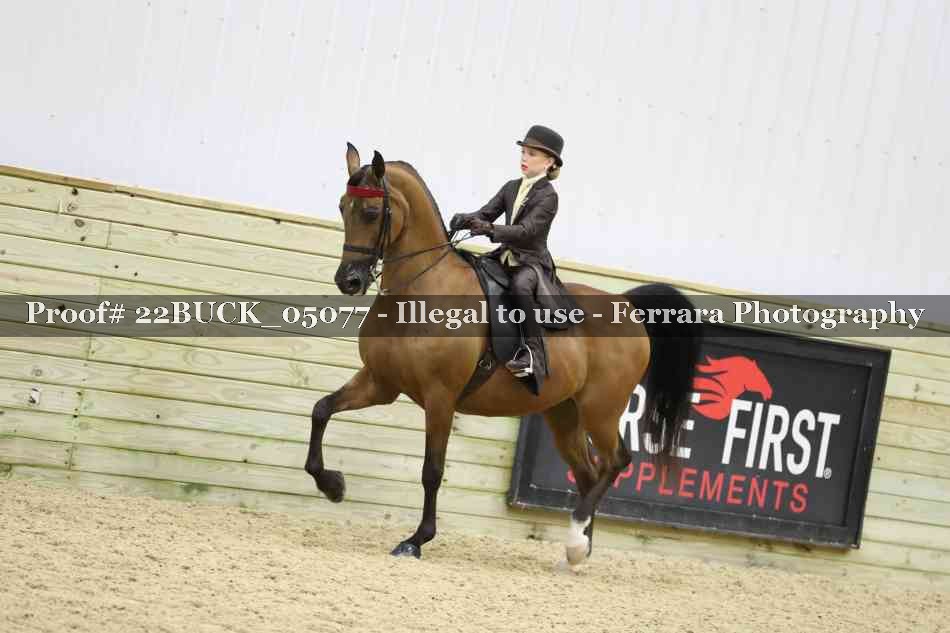 Proof 22BUCK_05077