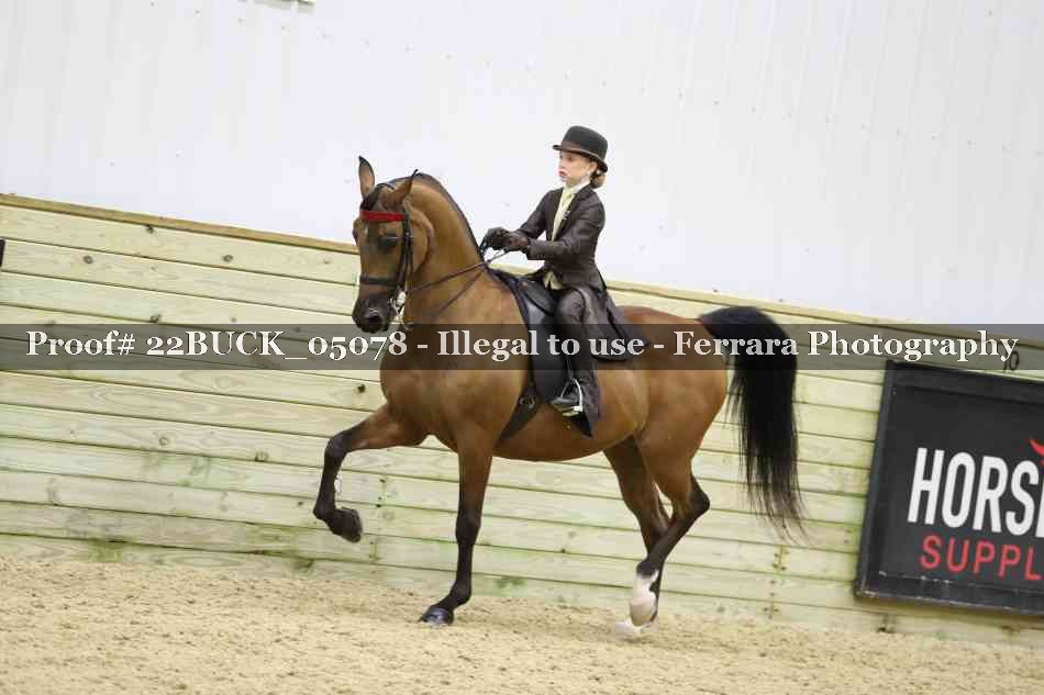 Proof 22BUCK_05078