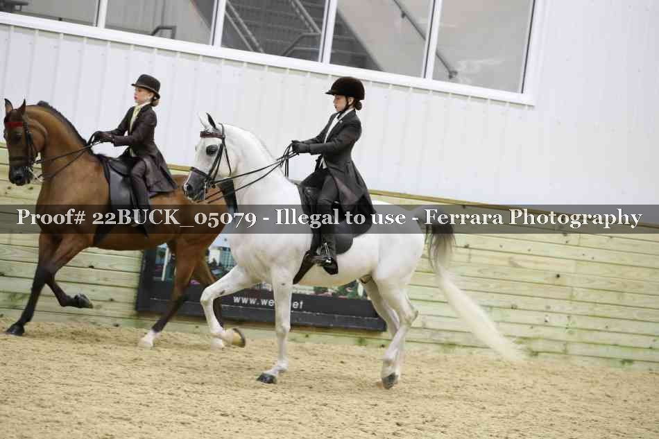 Proof 22BUCK_05079