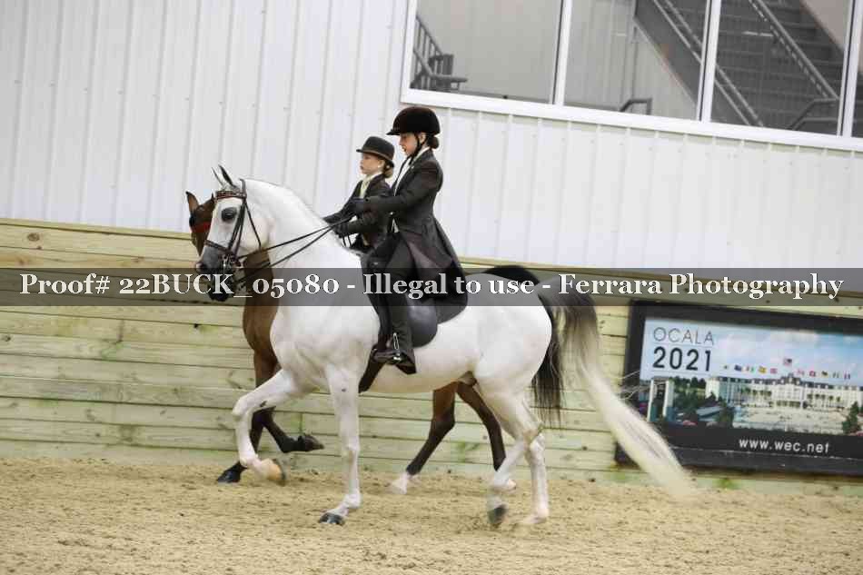 Proof 22BUCK_05080