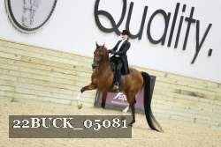 22BUCK_05081 proof