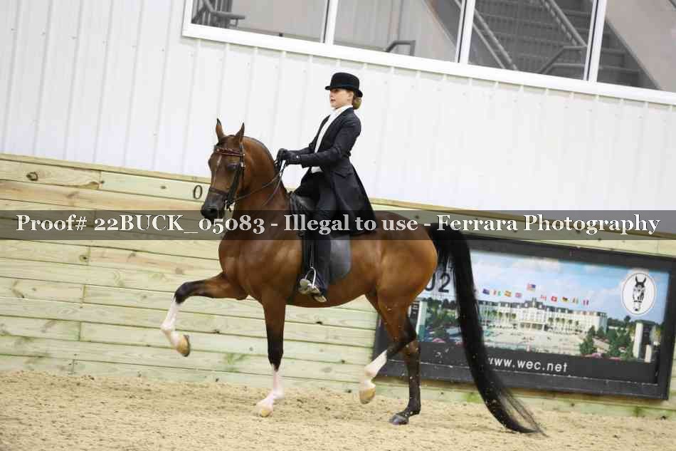 Proof 22BUCK_05083