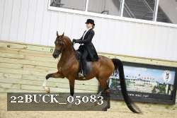 22BUCK_05083 proof