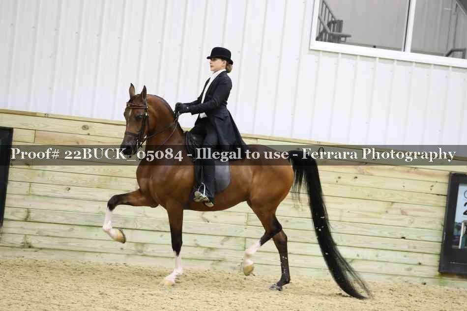 Proof 22BUCK_05084