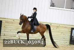 22BUCK_05084 proof