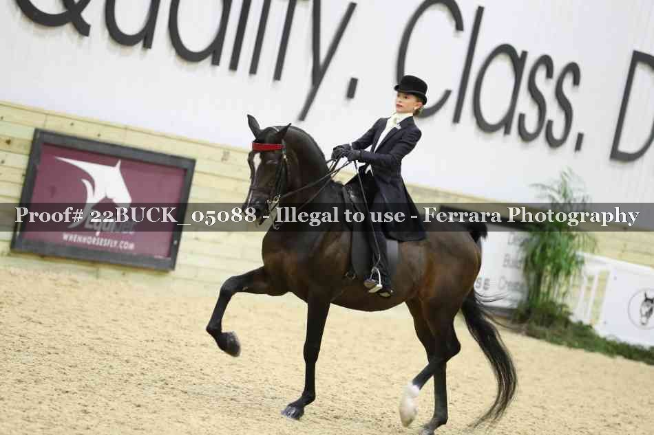 Proof 22BUCK_05088