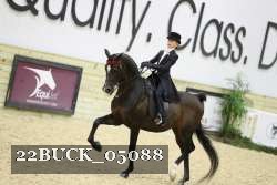 22BUCK_05088 proof
