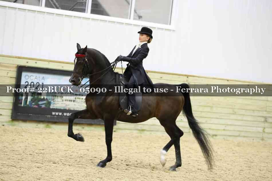 Proof 22BUCK_05090