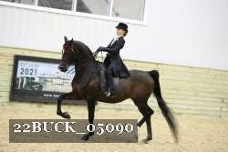 22BUCK_05090 proof