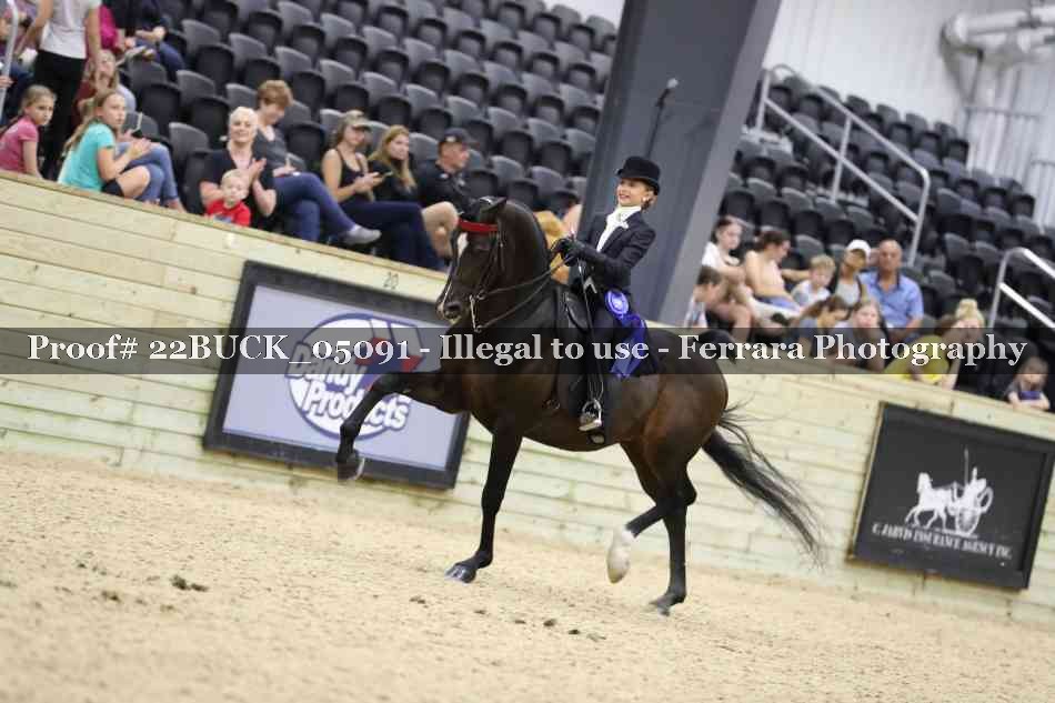 Proof 22BUCK_05091