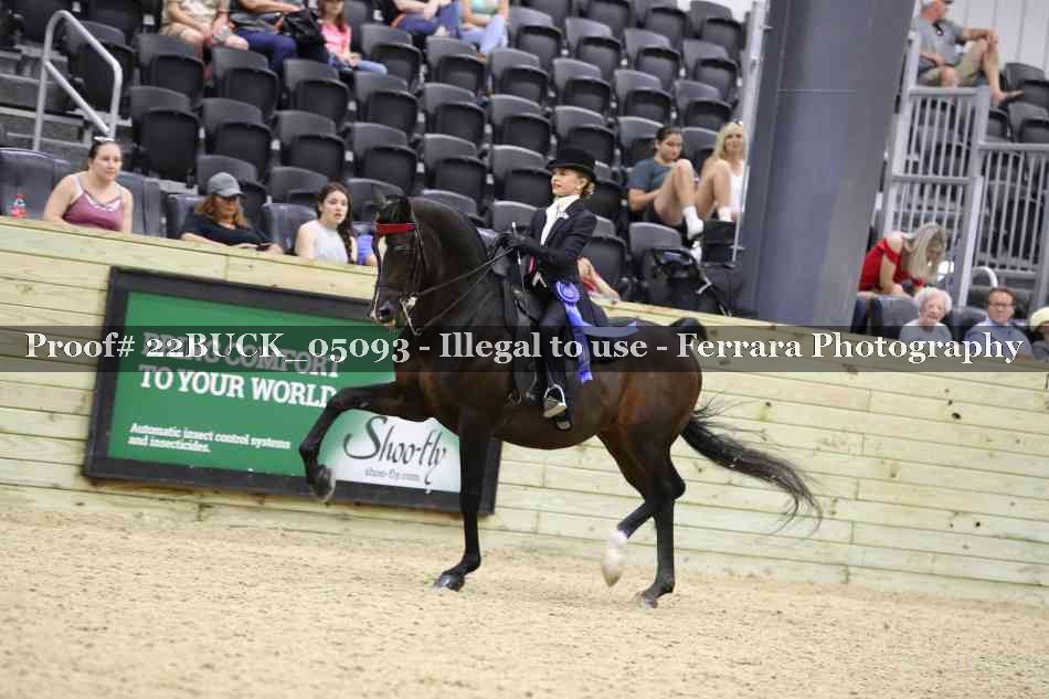 Proof 22BUCK_05093