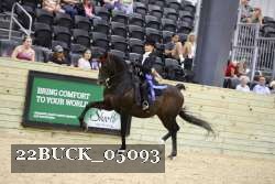 22BUCK_05093 proof