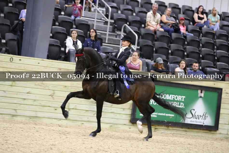 Proof 22BUCK_05094