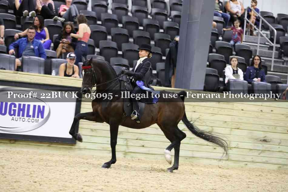 Proof 22BUCK_05095