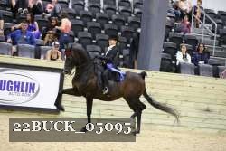 22BUCK_05095 proof