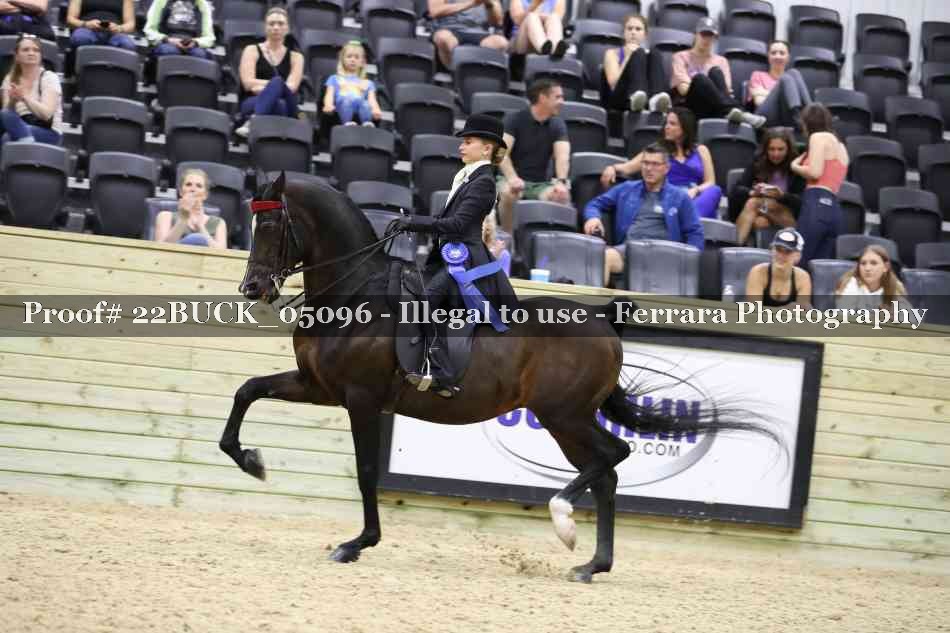 Proof 22BUCK_05096