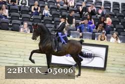 22BUCK_05096 proof