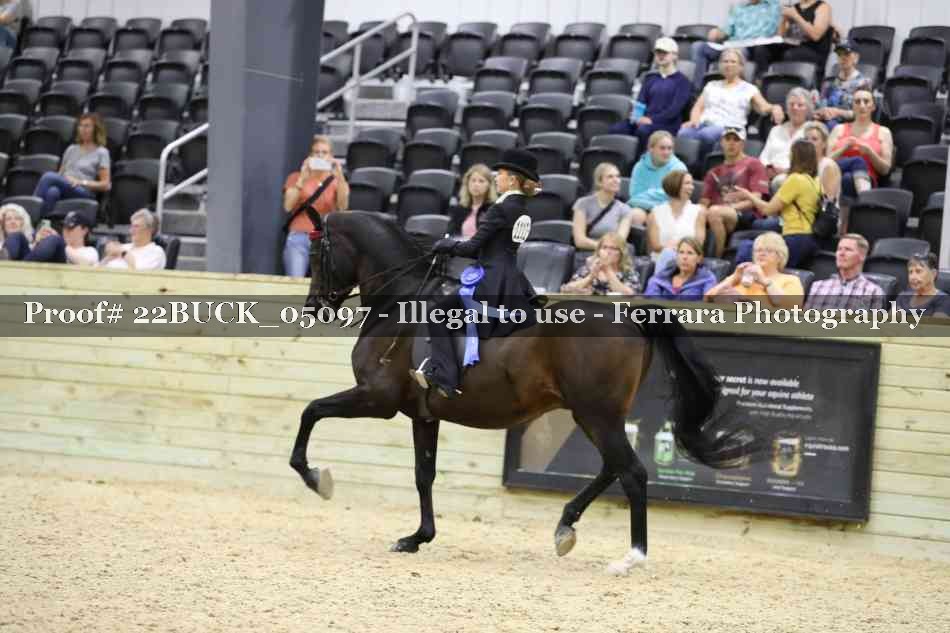 Proof 22BUCK_05097