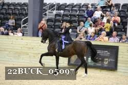 22BUCK_05097 proof