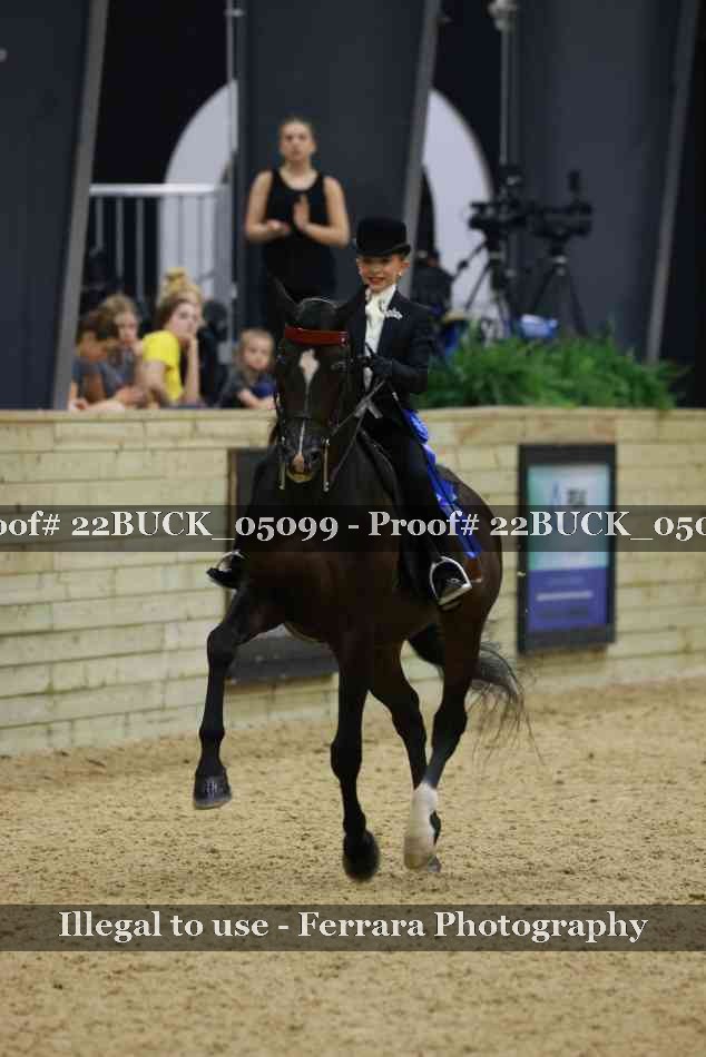 Proof 22BUCK_05099