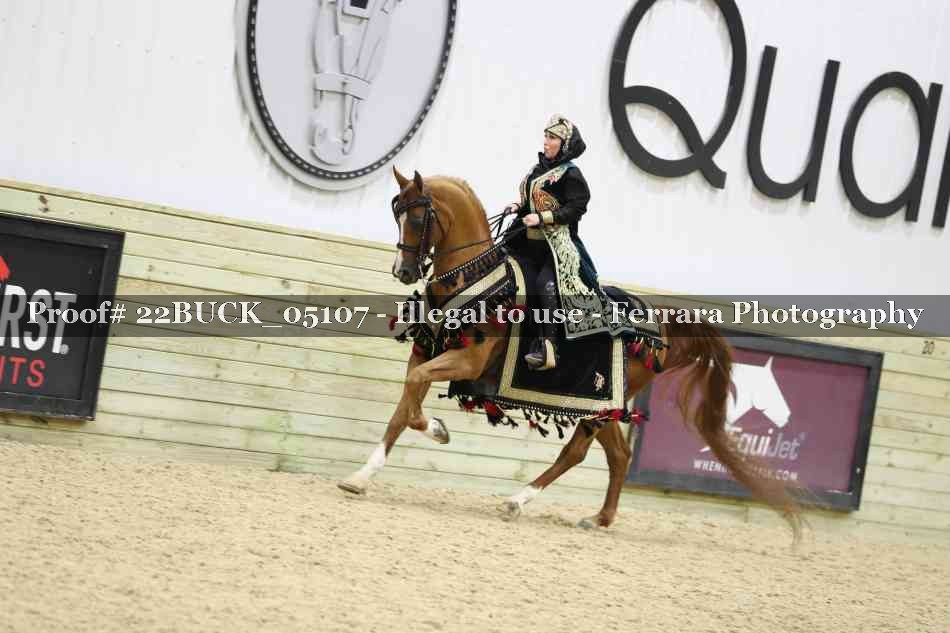 Proof 22BUCK_05107